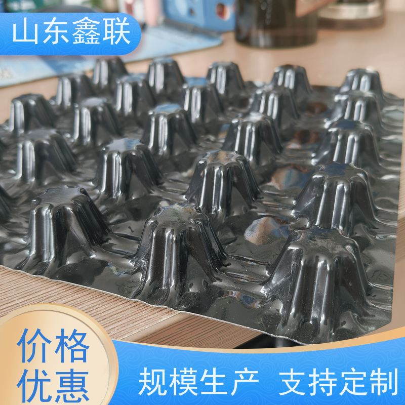 鑫联 3公分高 塑料凸片排水层 专注生产供应 PE排蓄水板
