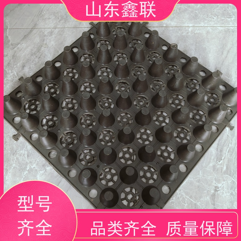 鑫联 爆卖百万平方 塑料凸片排水层 10年大厂品牌 聚乙 烯滤水板