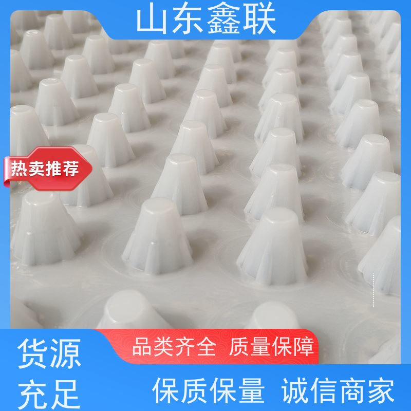 鑫联 白色全新料 塑料凸片排水层 大厂实力批发 厚滤水板