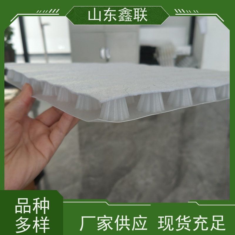 鑫联 25高卷材 塑料凸片排水层 大厂实力批发 聚乙 烯滤水板