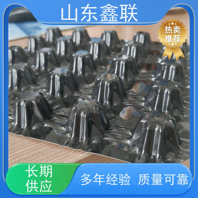 鑫联 20大杯口蓝色底板专用 塑料凸片排水层 屋顶花园绿化 成品疏水板