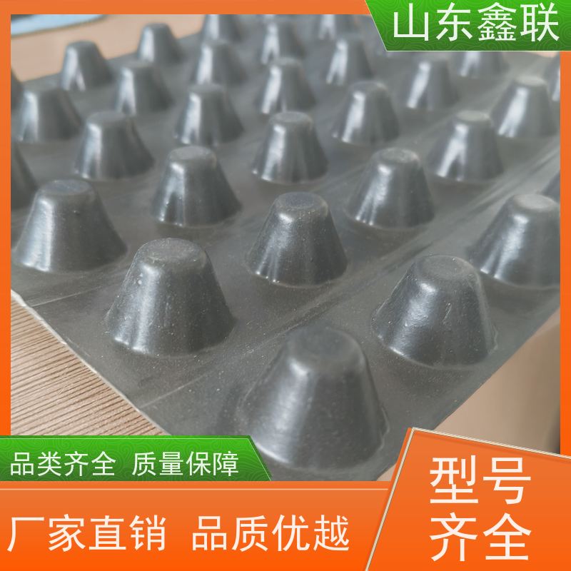 鑫联 黑色国标料 塑料凸片排水层 专注生产供应 厚滤水板