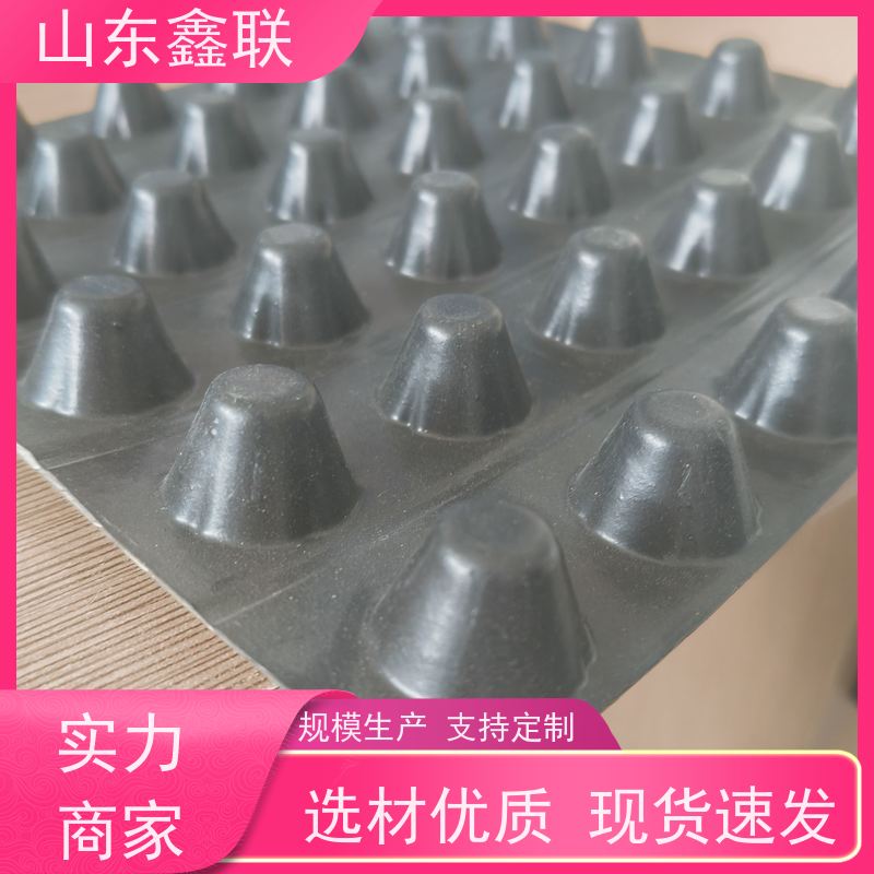 鑫联 16公分大杯口 塑料凸片排水层 厂家施工指导 聚乙 烯滤水板