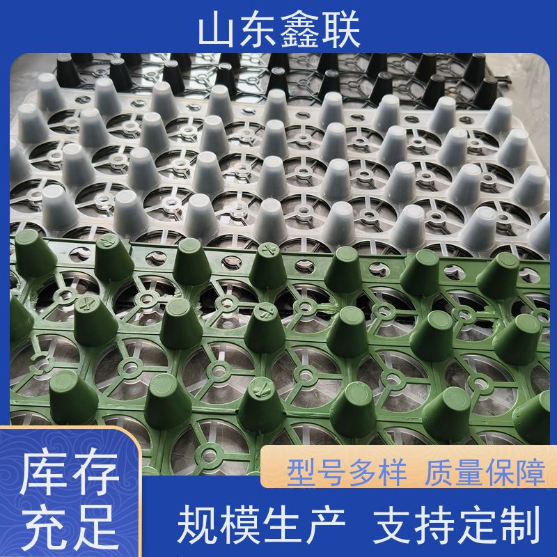 鑫联 2公分厚 塑料凸片排水层 专注生产供应 聚乙 烯滤水板