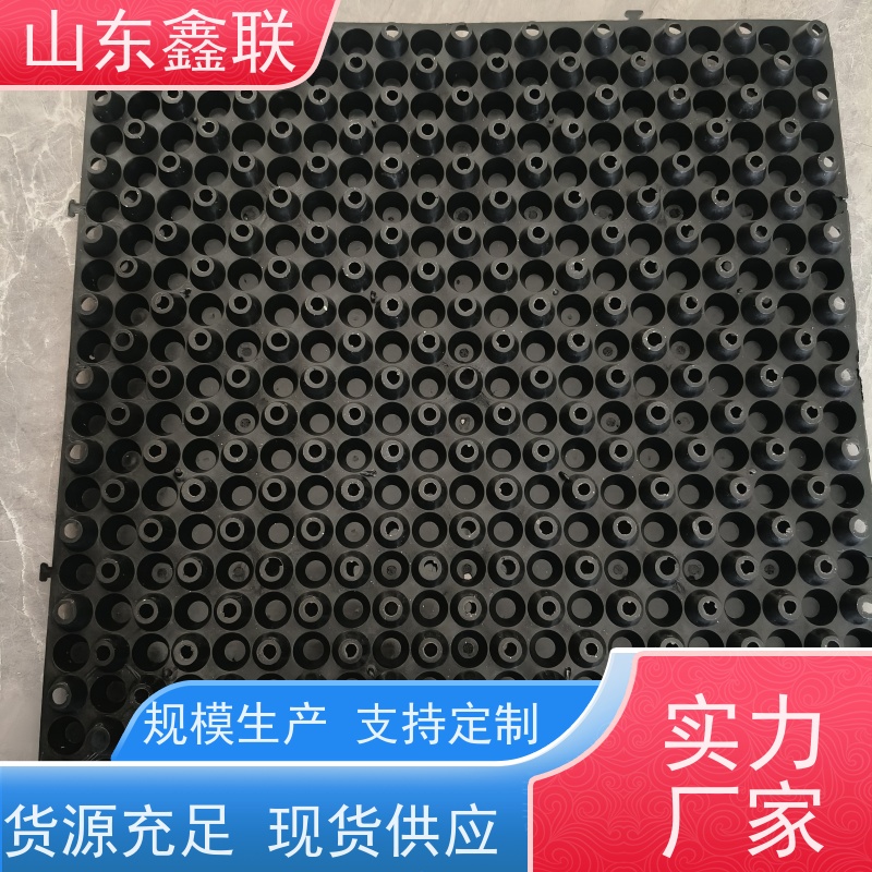 鑫联 黑色国标料 塑料凸片排水层 厂家施工指导 PE排蓄水板