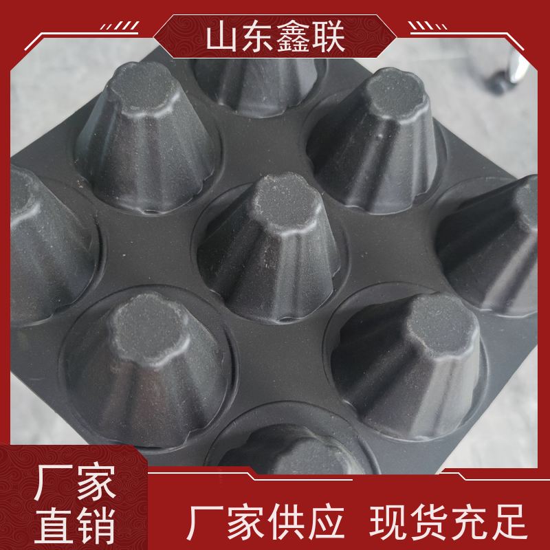 鑫联 50高凹凸型排蓄水板 适用顶板底板 厂家免费邮寄样品
