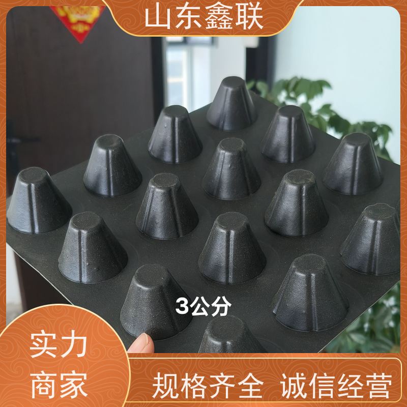 鑫联 黑色国标料 塑料凸片排水层 严选自营 PE排蓄水板