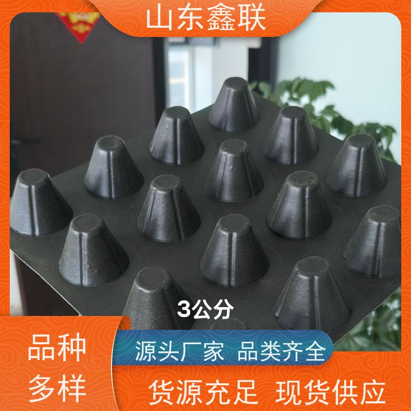 鑫联 2公分厚 塑料凸片排水层 科研创新 厚滤水板