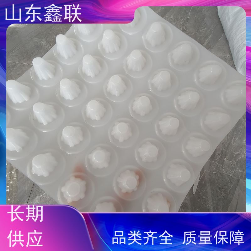 鑫联 白色全新料 塑料凸片排水层 百亩面积厂商 PE排蓄水板
