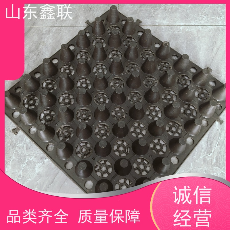 鑫联 爆卖百万平方 塑料凸片排水层 百亩面积厂商 聚乙 烯滤水板