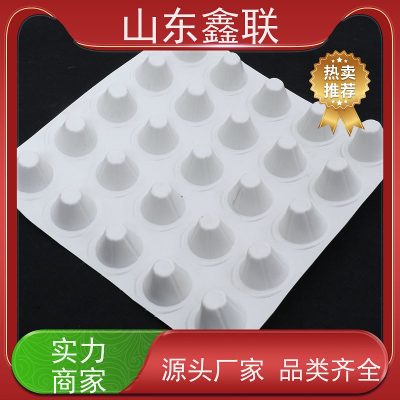 鑫联 40高3*10 塑料凸片排水层 科研创新 厚滤水板