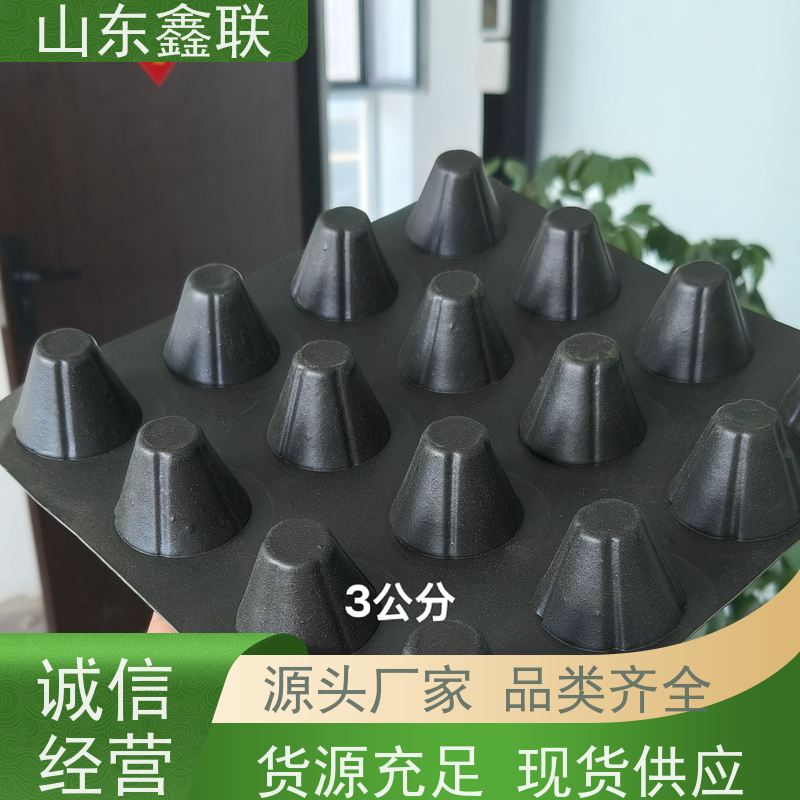 鑫联 爆卖百万平方 塑料凸片排水层 10年大厂品牌 PE疏水板