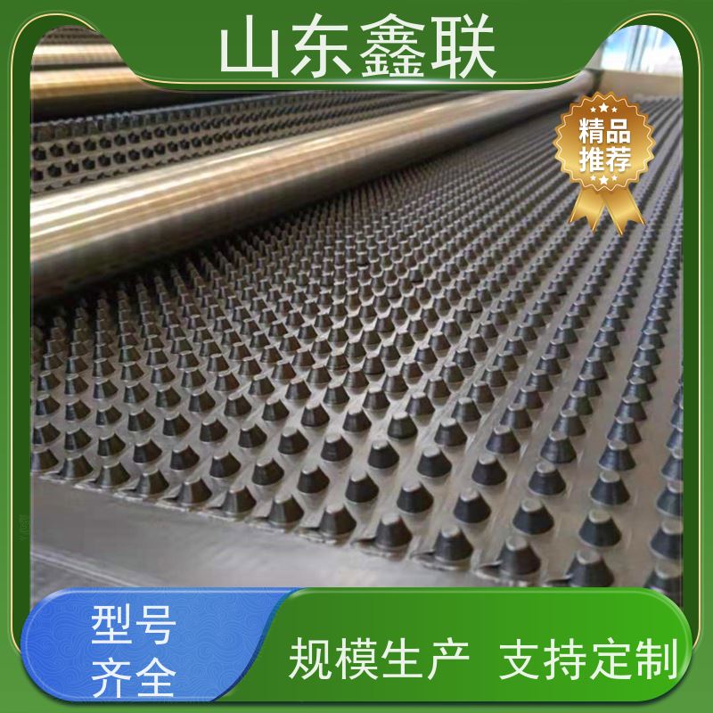 鑫联 1公分高 塑料凸片排水层 厂家施工指导 聚乙 烯滤水板