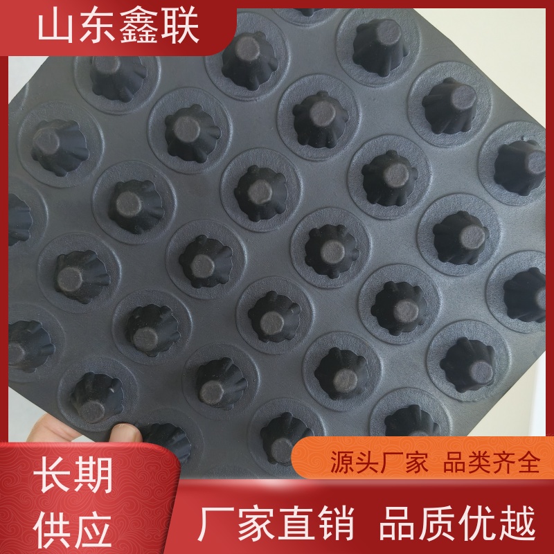 鑫联 1公分高 塑料凸片排水层 屋顶花园绿化 成品疏水板