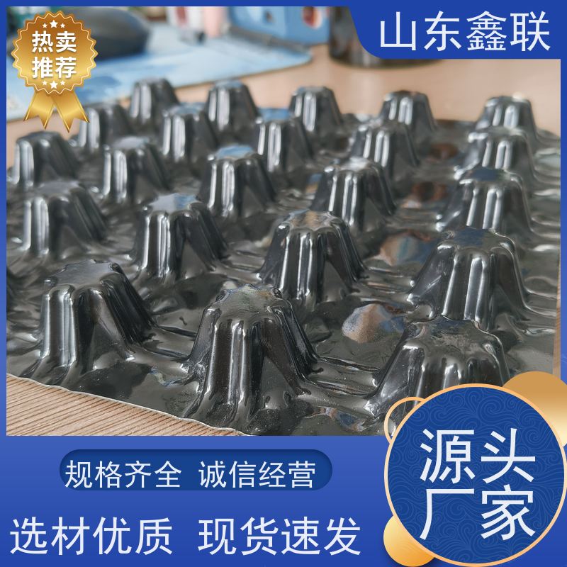 鑫联 20大杯口蓝色底板专用 塑料凸片排水层 专注生产供应 成品疏水板