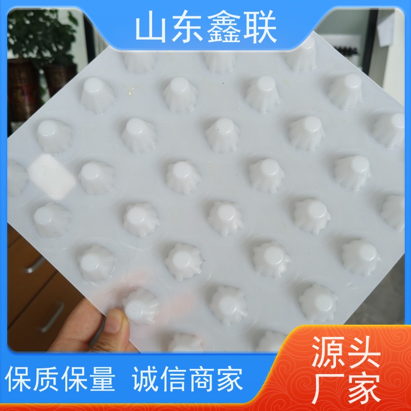 鑫联 40高3*10 塑料凸片排水层 百亩面积厂商 厚滤水板