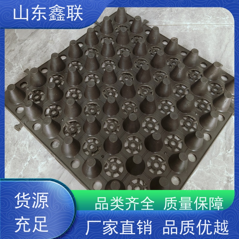 鑫联 25高卷材 塑料凸片排水层 屋顶花园绿化 厚滤水板