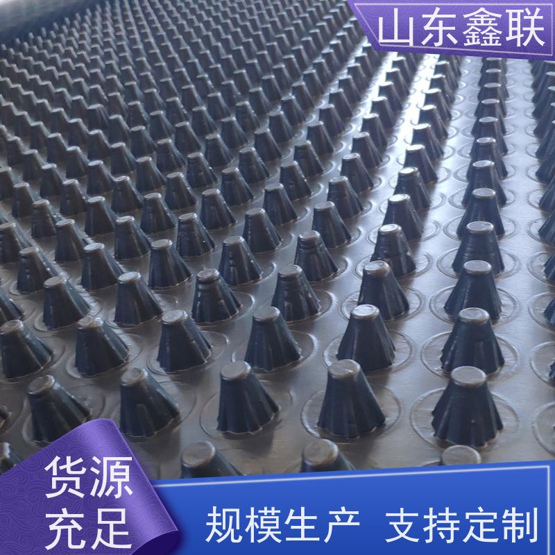 鑫联 3公分高 塑料凸片排水层 专注生产供应 聚乙 烯滤水板