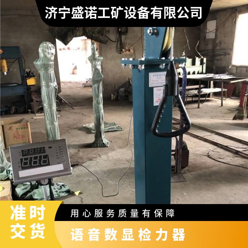 矿山救护队员体力测试双人检力器YSJ-20 碳钢材质和不锈钢材质救