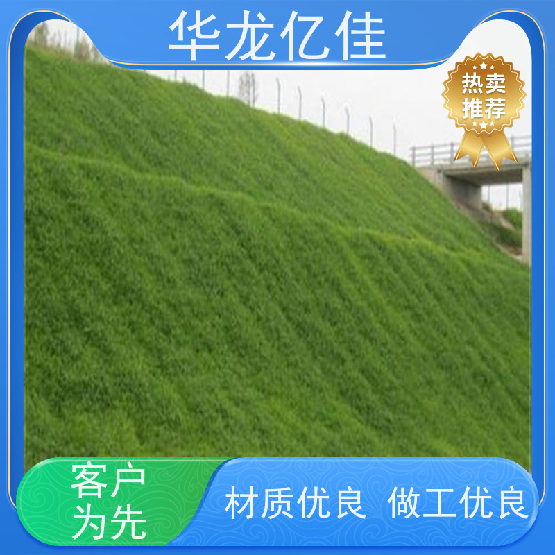 全新 河坡草毯 生态修复矿山绿化护坡 施工简单