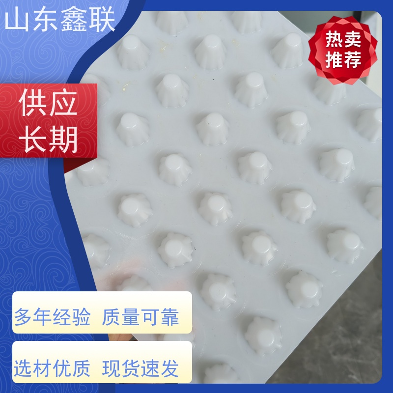 鑫联 2公分厚 塑料凸片排水层 10年大厂品牌 成品疏水板