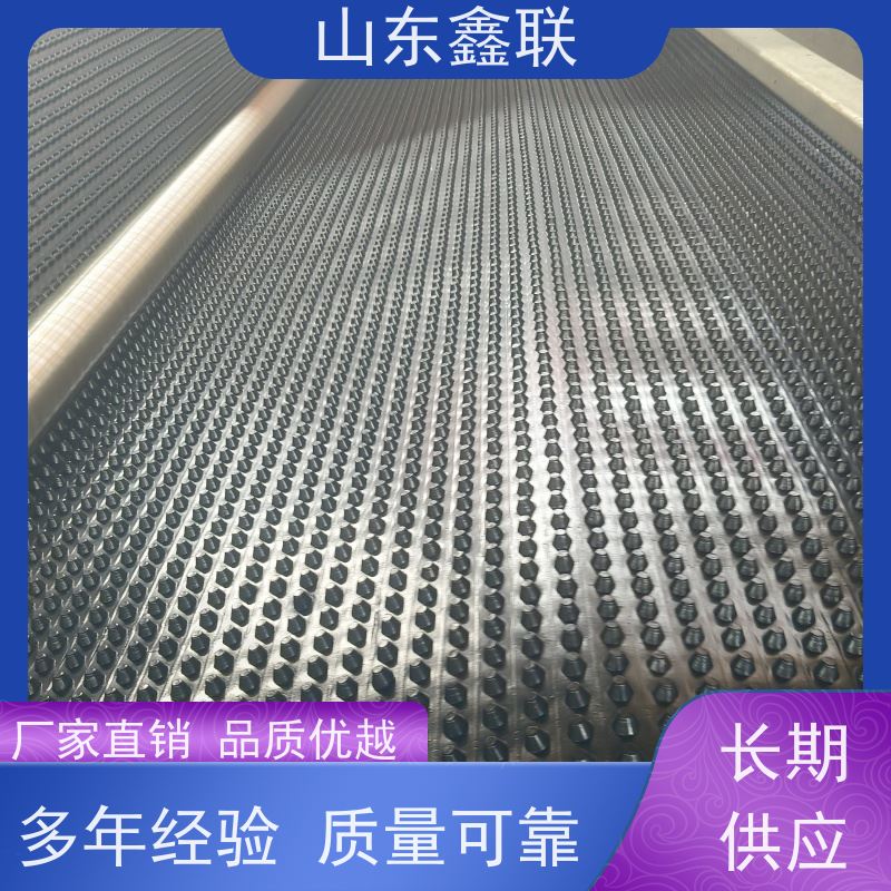 鑫联 黑色国标料 塑料凸片排水层 科研创新 单面凸台式高抗冲击滤水板
