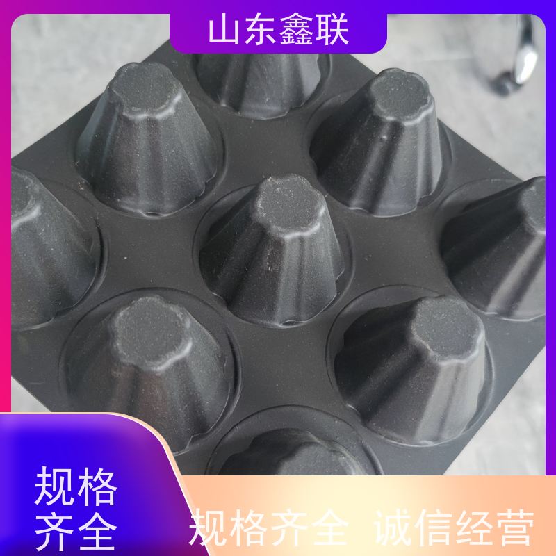 鑫联 爆卖百万平方 塑料凸片排水层 严选自营 聚乙 烯滤水板