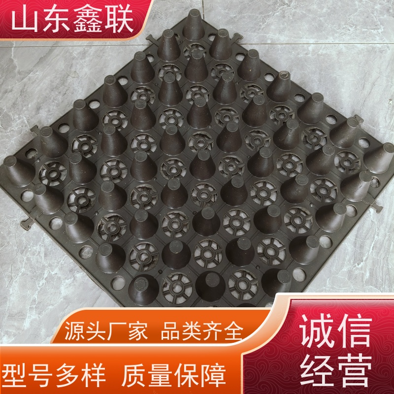 鑫联 白色全新料 塑料凸片排水层 百亩面积厂商 厚滤水板