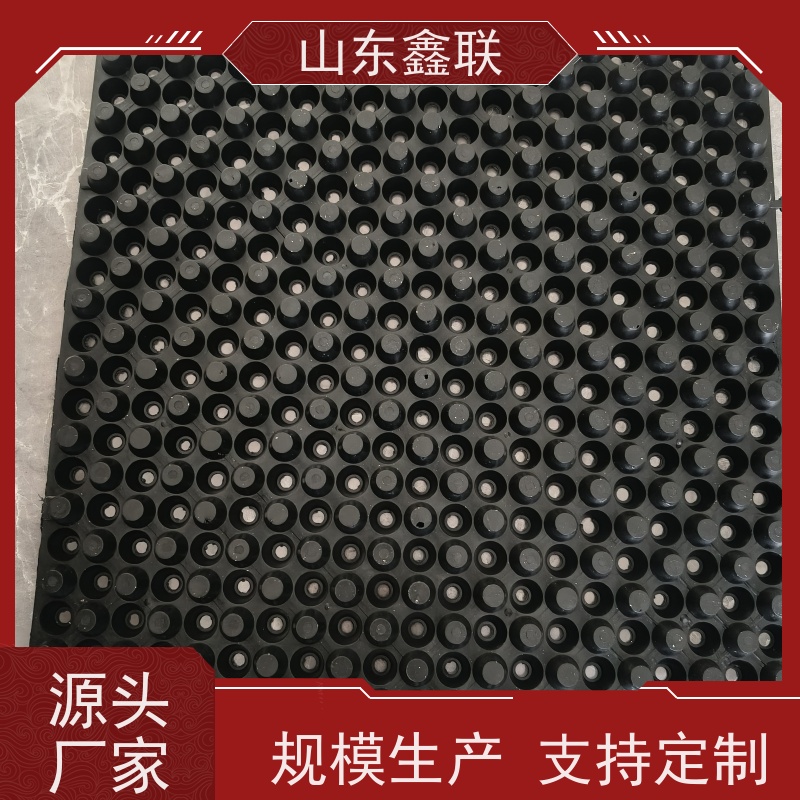 鑫联 2公分厚 塑料凸片排水层 专注生产供应 PE疏水板