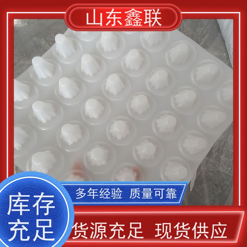 鑫联 40高3*10 塑料凸片排水层 大厂实力批发 聚乙 烯滤水板