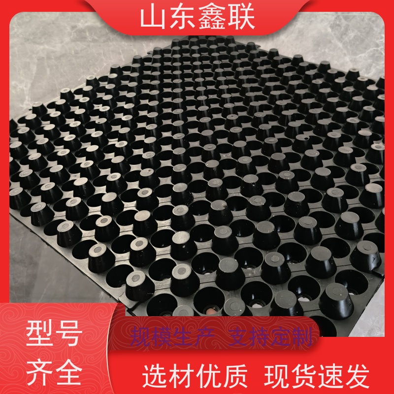 鑫联 黑色国标料 塑料凸片排水层 屋顶花园绿化 厚滤水板