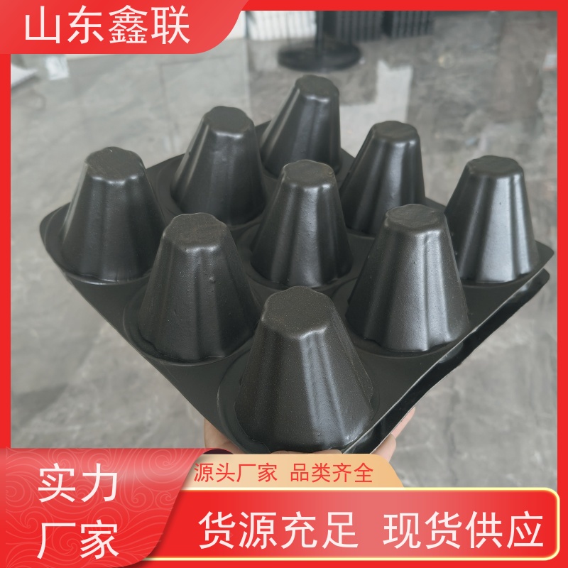 鑫联 50高黑色 塑料凸片排水层 严选自营 PE排蓄水板
