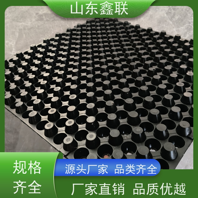 鑫联 1公分高 塑料凸片排水层 专注生产供应 聚乙 烯滤水板