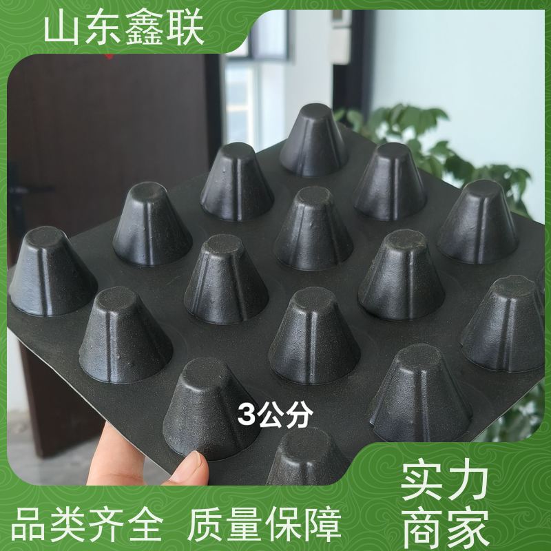 鑫联 1公分高 塑料凸片排水层 科研创新 成品疏水板