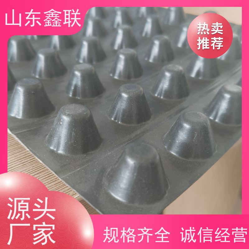 鑫联 黑色国标料 塑料凸片排水层 严选自营 单面凸台式高抗冲击滤水板