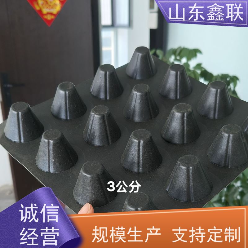 鑫联 2公分厚 塑料凸片排水层 厂家施工指导 PE疏水板