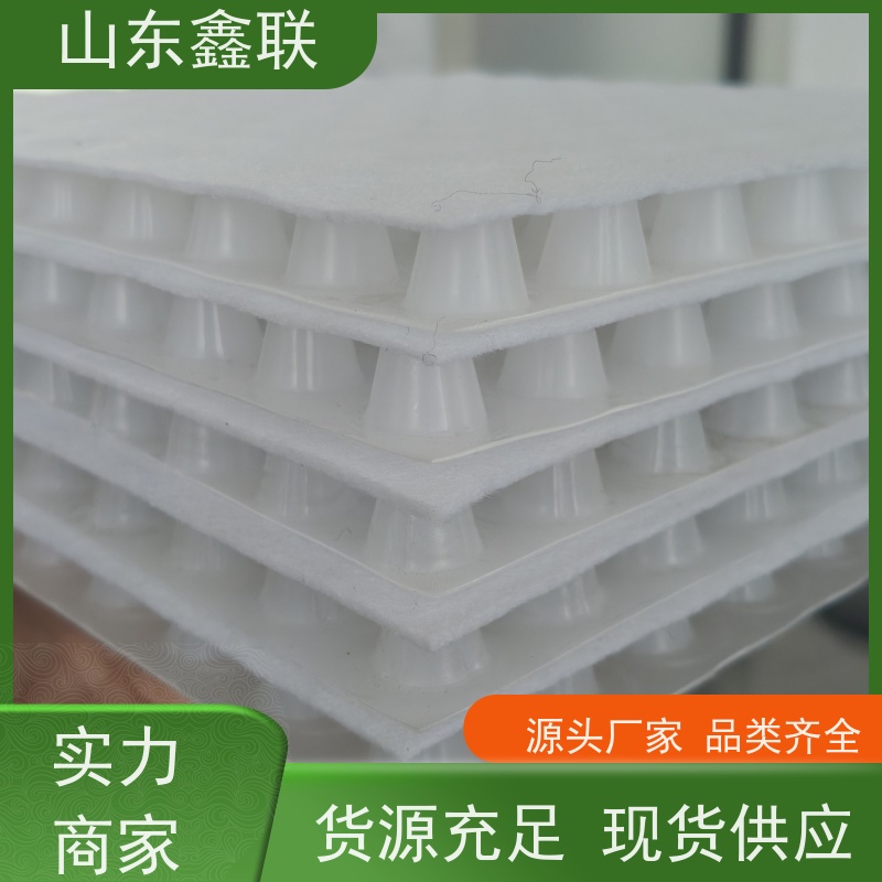 鑫联 14高复合一体 塑料凸片排水层 厂家施工指导 厚滤水板