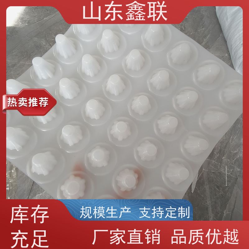 鑫联 6公分黑色凹凸型排水板 严选自营 聚乙 烯滤水板