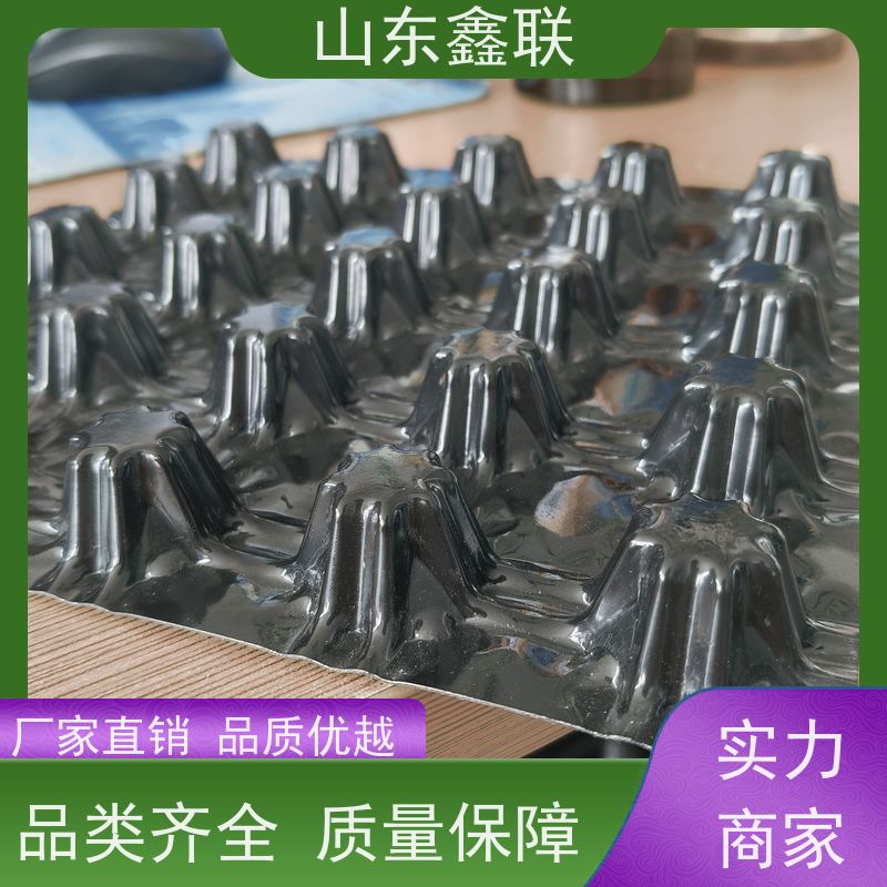 鑫联 14高复合一体 塑料凸片排水层 10年大厂品牌 PE排蓄水板