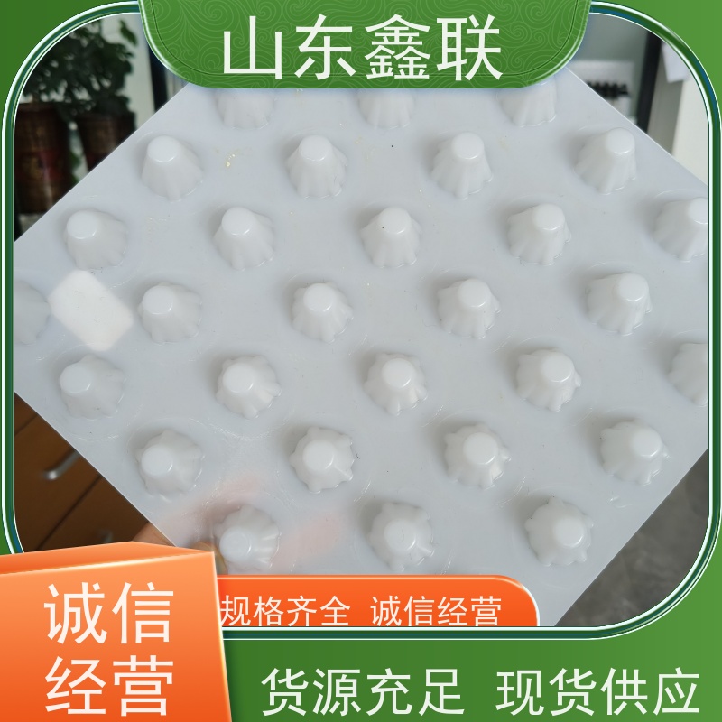 鑫联 黑色国标料 塑料凸片排水层 严选自营 PE疏水板
