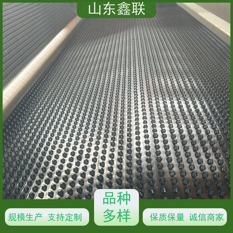 鑫联 50高黑色 塑料凸片排水层 百亩面积厂商 PE排蓄水板