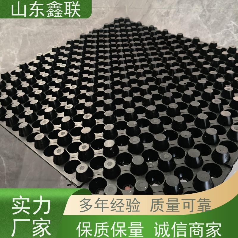鑫联 6公分黑色 塑料凸片排水层 专注生产供应 厚滤水板