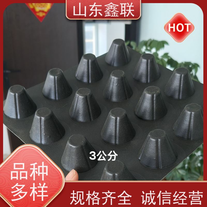 鑫联 6公分黑色 塑料凸片排水层 百亩面积厂商 成品疏水板