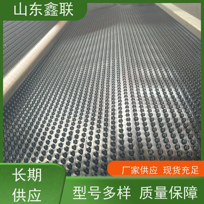 鑫联 2公分厚 塑料凸片排水层 科研创新 单面凸台式高抗冲击滤水板