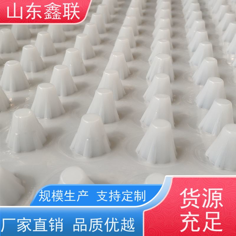 鑫联 25高卷材 塑料凸片排水层 厂家施工指导 成品疏水板