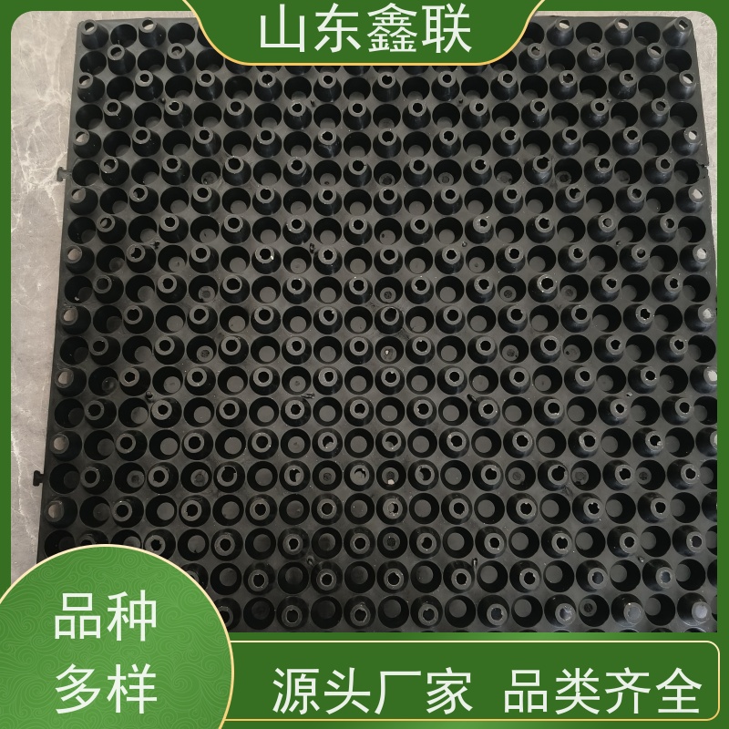鑫联 爆卖百万平方 塑料凸片排水层 大厂实力批发 厚滤水板