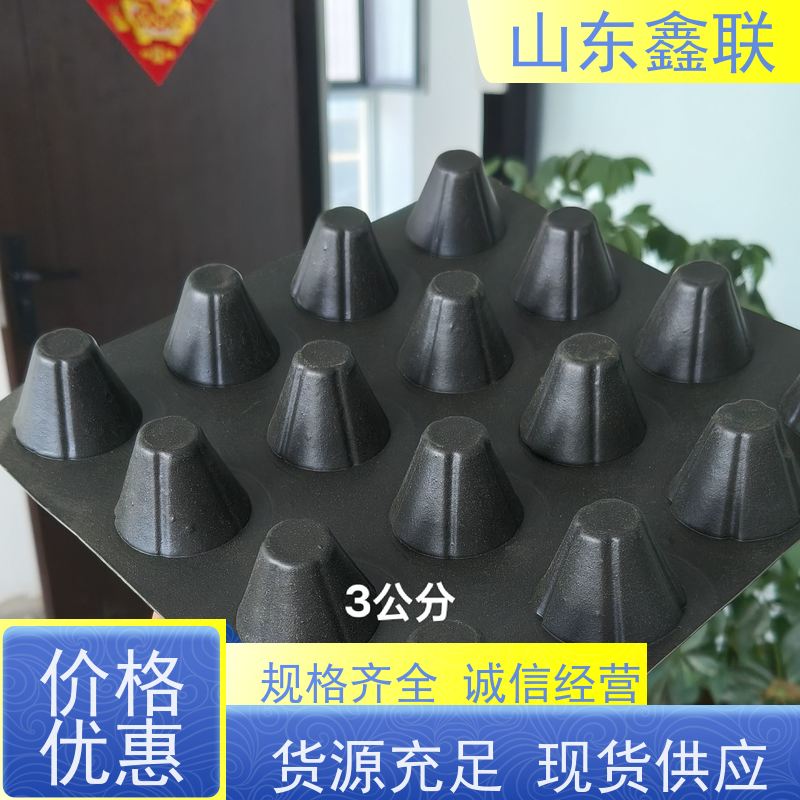 鑫联 白色全新料 塑料凸片排水层 国检认证品质 厚滤水板