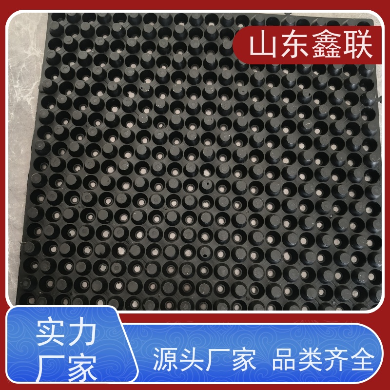 鑫联 2公分厚 塑料凸片排水层 大厂实力批发 PE排蓄水板