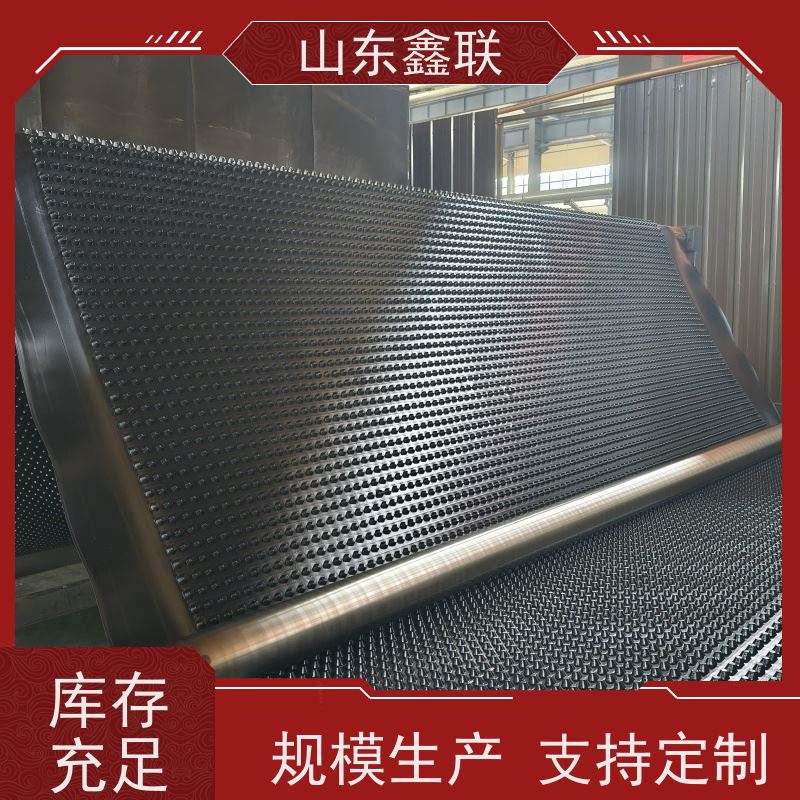 鑫联 白色全新料 塑料凸片排水层 科研创新 厚滤水板