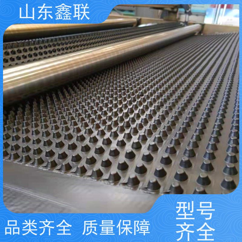 鑫联 14高复合一体 塑料凸片排水层 专注生产供应 聚乙 烯滤水板